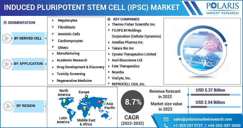 Induced Pluripotent Stem Cell (iPSC) Market Share, Size, Trends